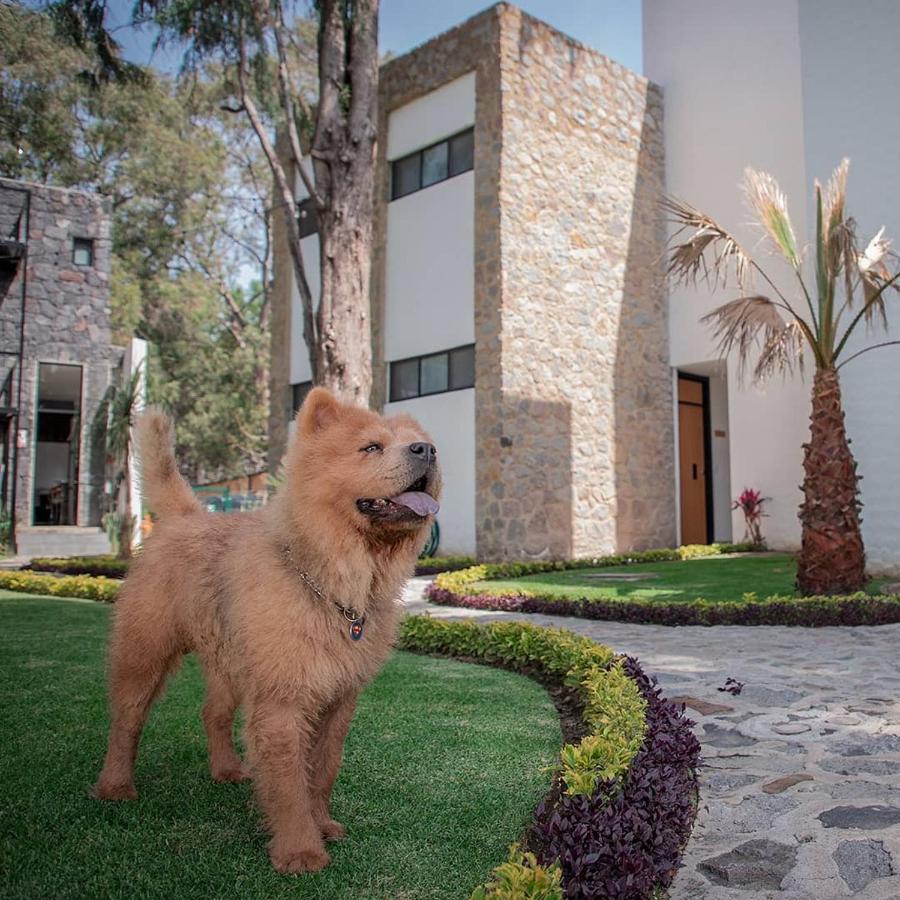 Hotel Boutique Camino Del Bosque By Rotamundos Чолула Екстер'єр фото